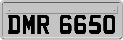 DMR6650