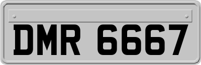 DMR6667