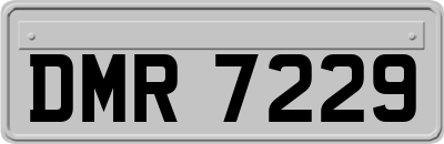 DMR7229
