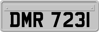 DMR7231