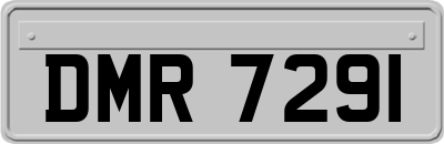 DMR7291