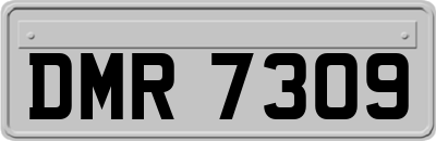 DMR7309