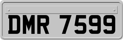 DMR7599