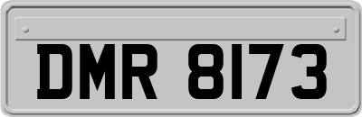 DMR8173