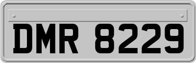 DMR8229