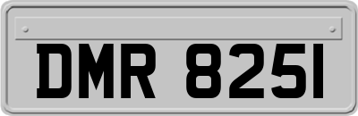 DMR8251