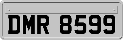 DMR8599
