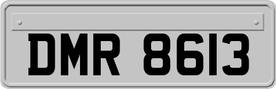 DMR8613