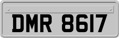 DMR8617