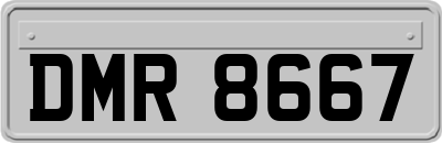 DMR8667