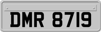 DMR8719