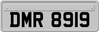 DMR8919