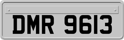DMR9613