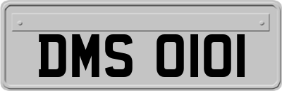 DMS0101