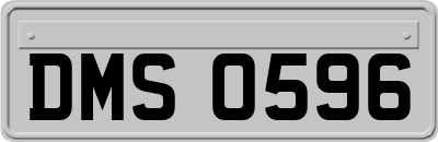 DMS0596
