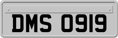 DMS0919