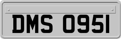 DMS0951