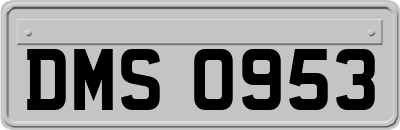 DMS0953