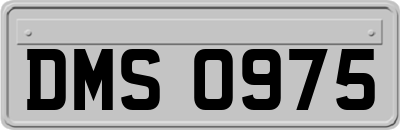 DMS0975
