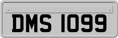 DMS1099
