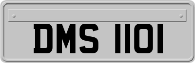 DMS1101