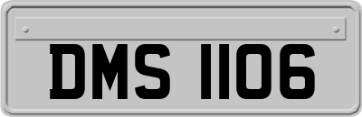 DMS1106