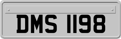 DMS1198