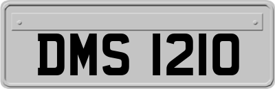 DMS1210