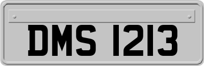 DMS1213