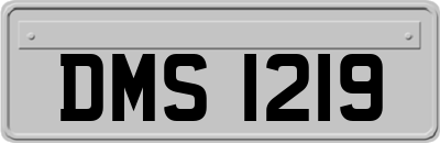 DMS1219