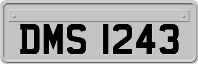 DMS1243