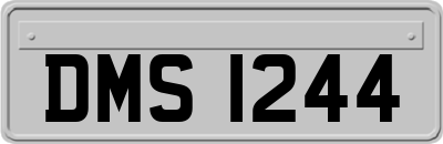 DMS1244