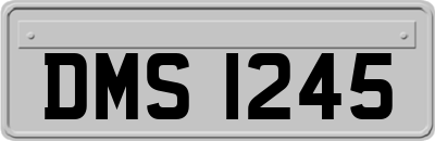 DMS1245