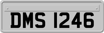 DMS1246