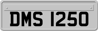DMS1250