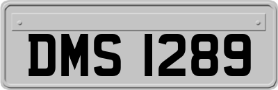DMS1289