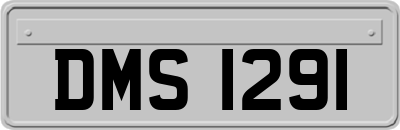 DMS1291