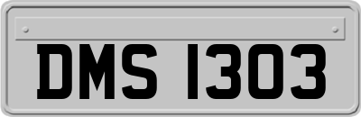 DMS1303