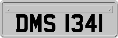 DMS1341