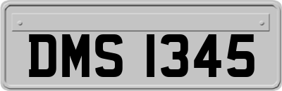 DMS1345