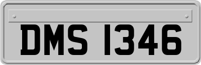DMS1346