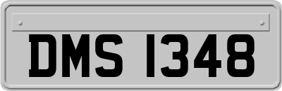 DMS1348