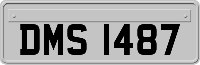 DMS1487