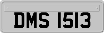 DMS1513
