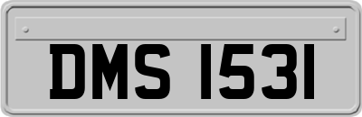 DMS1531
