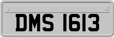 DMS1613