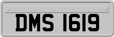 DMS1619