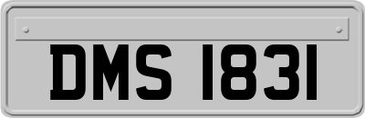 DMS1831