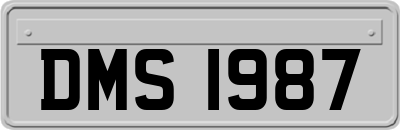 DMS1987