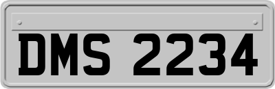 DMS2234